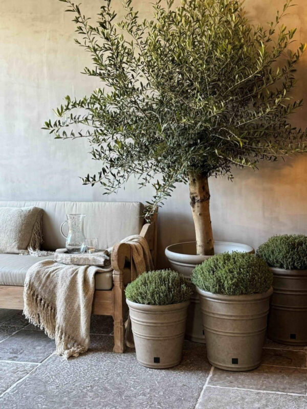 Outdoor potten Aura Peeperkorn