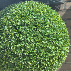 Kunst Buxus