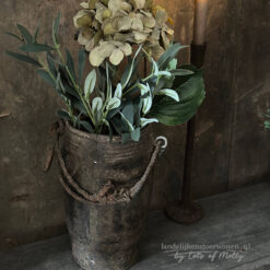 Kunst Hortensia bol