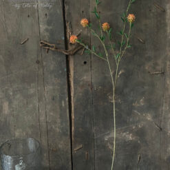 Kunsttak Distel