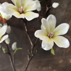 Kunsttak Magnolia Creme Kort