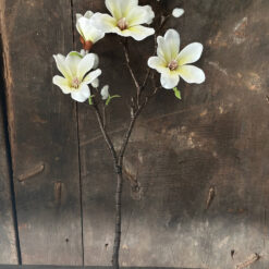 Kunsttak Magnolia Creme Kort