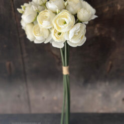 Ranunkel bundel Dina Creme
