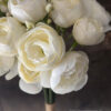 Ranunkel bundel Dina Creme