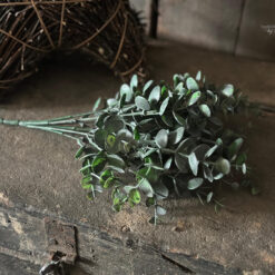 Decoratief Takje Kunst Eucalyptus