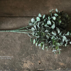 Decoratief Takje Kunst Eucalyptus