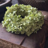 Kransje Hydrangea Annabelle