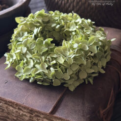 Kransje Hydrangea Annabelle