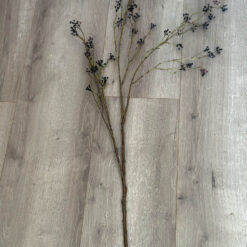 Kunst bes Berberis zwart