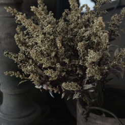 Bundel Kunst Atriplex Groen