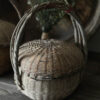Chinese Plukmand Trapa Living 1